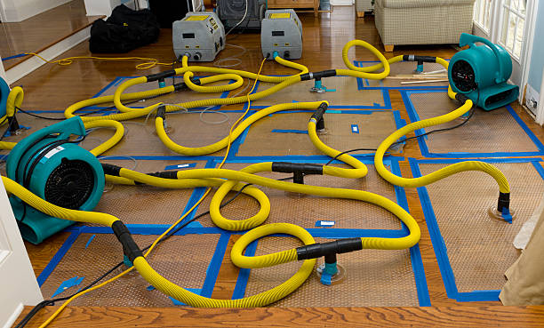 Professional Crawl Space Water Removal technician working in Petersburg, OH